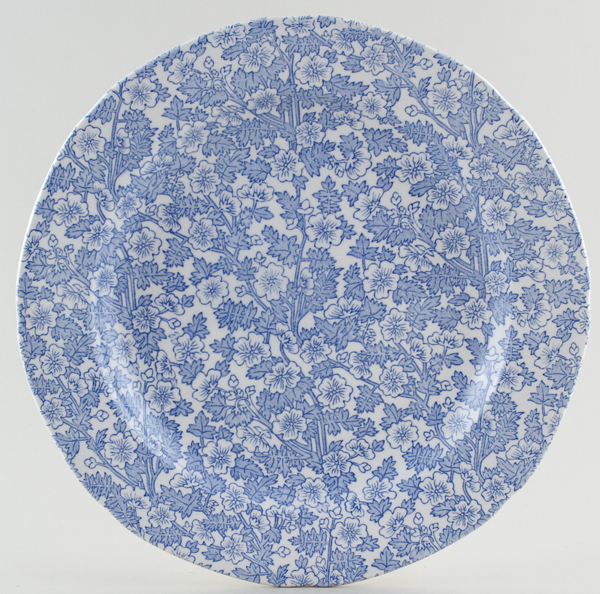 Dinner Plate